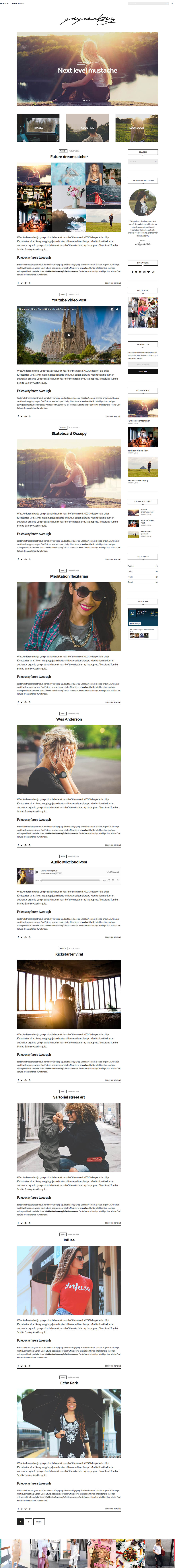 WordPress template CSSIgniter Paperbag