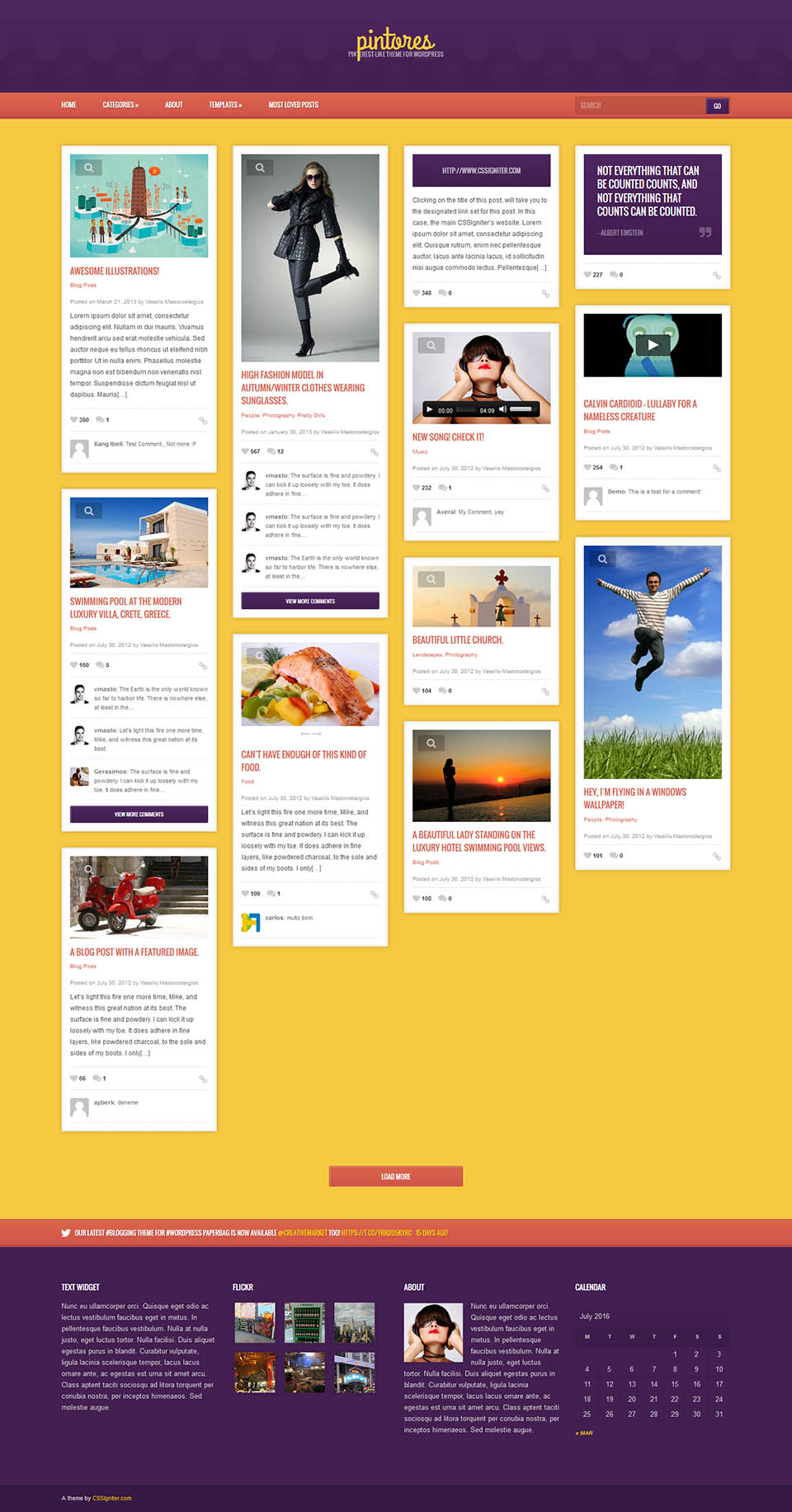 WordPress template CSSIgniter Pintores