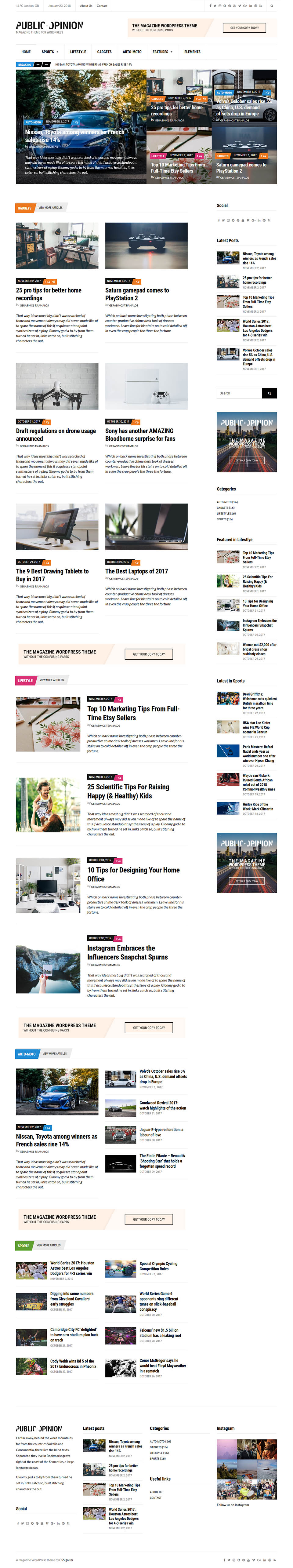 WordPress template CSSIgniter Public Opinion