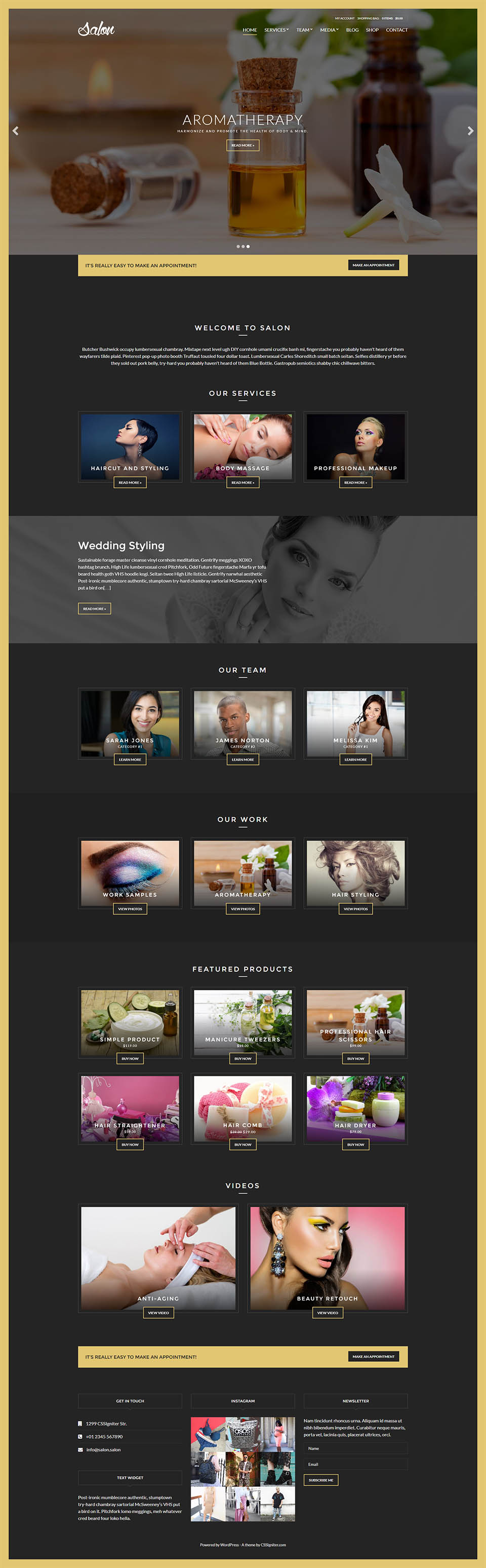 WordPress template CSSIgniter Salon