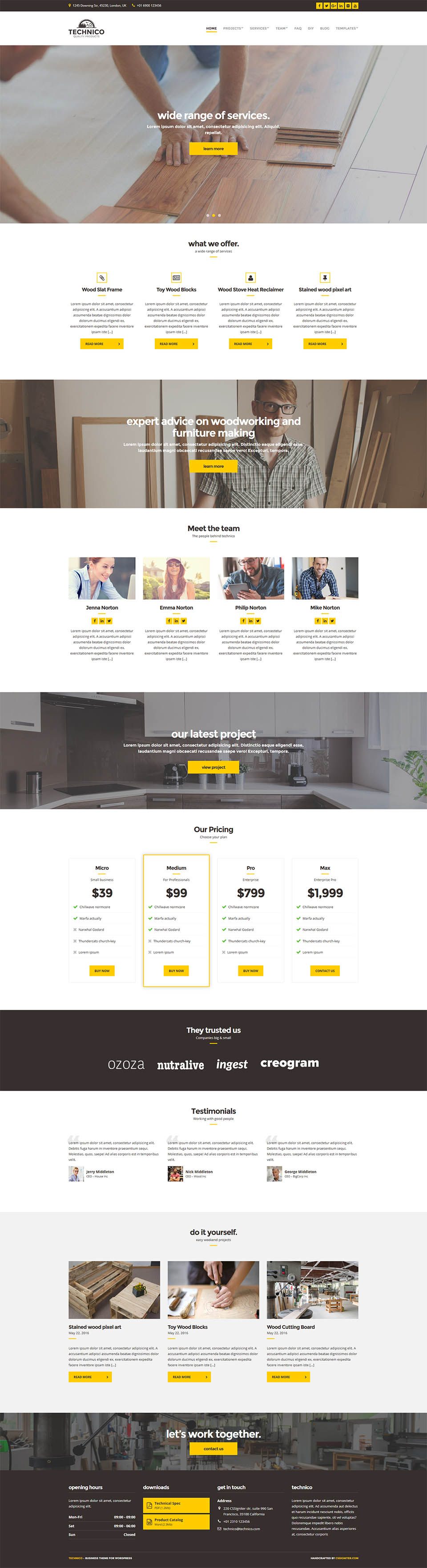 WordPress template CSSIgniter Technico