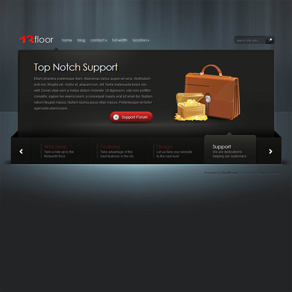 WordPress template ElegantThemes 13Floor
