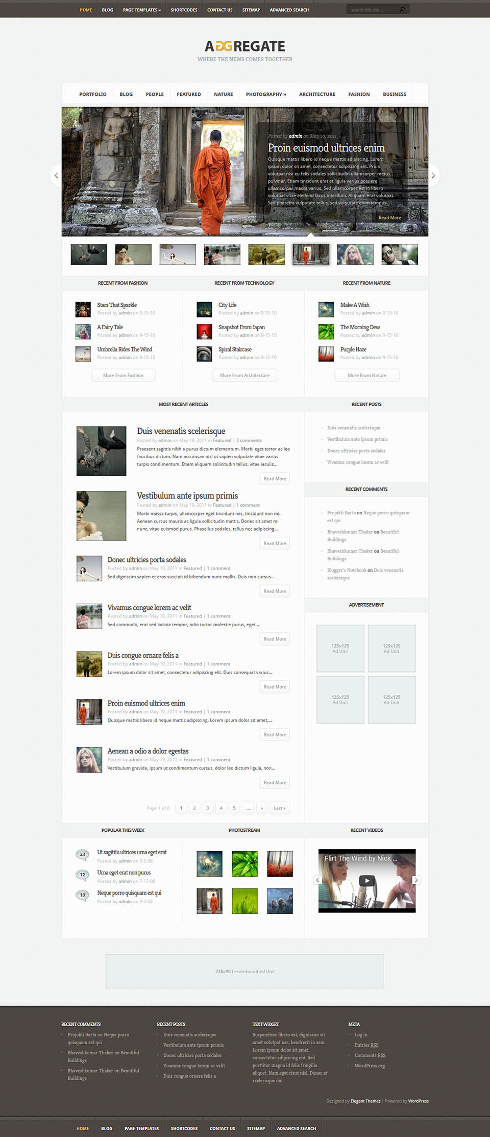 WordPress template ElegantThemes Aggregate