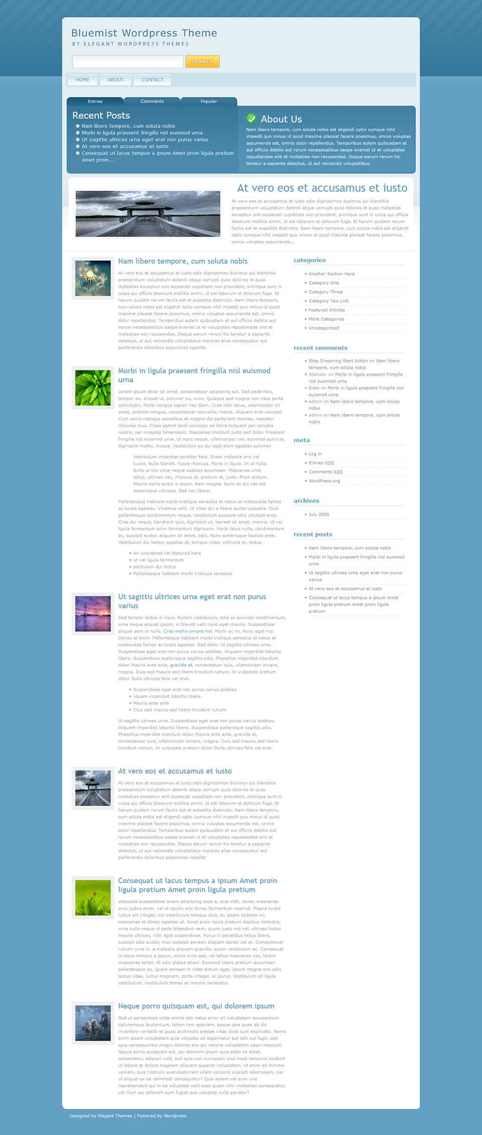 WordPress template ElegantThemes BlueMist