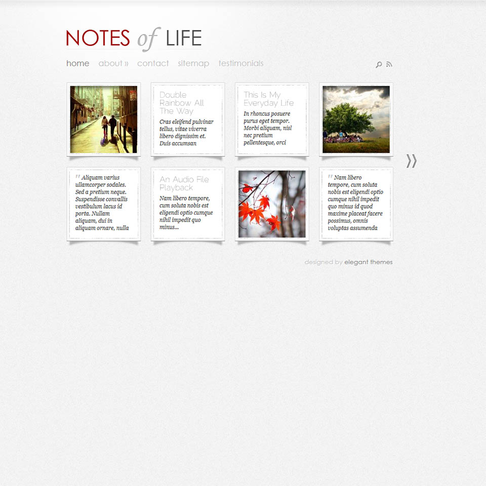 WordPress template ElegantThemes DailyNotes
