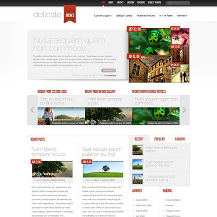 ElegantThemes DelicateNews