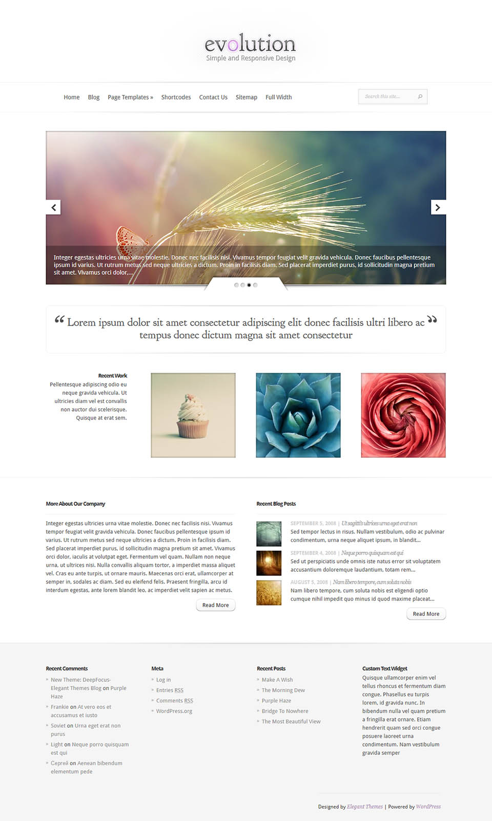 ElegantThemes Evolution v3.0.9 - business theme for WordPress