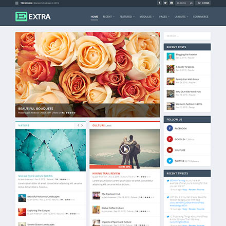 ElegantThemes Extra