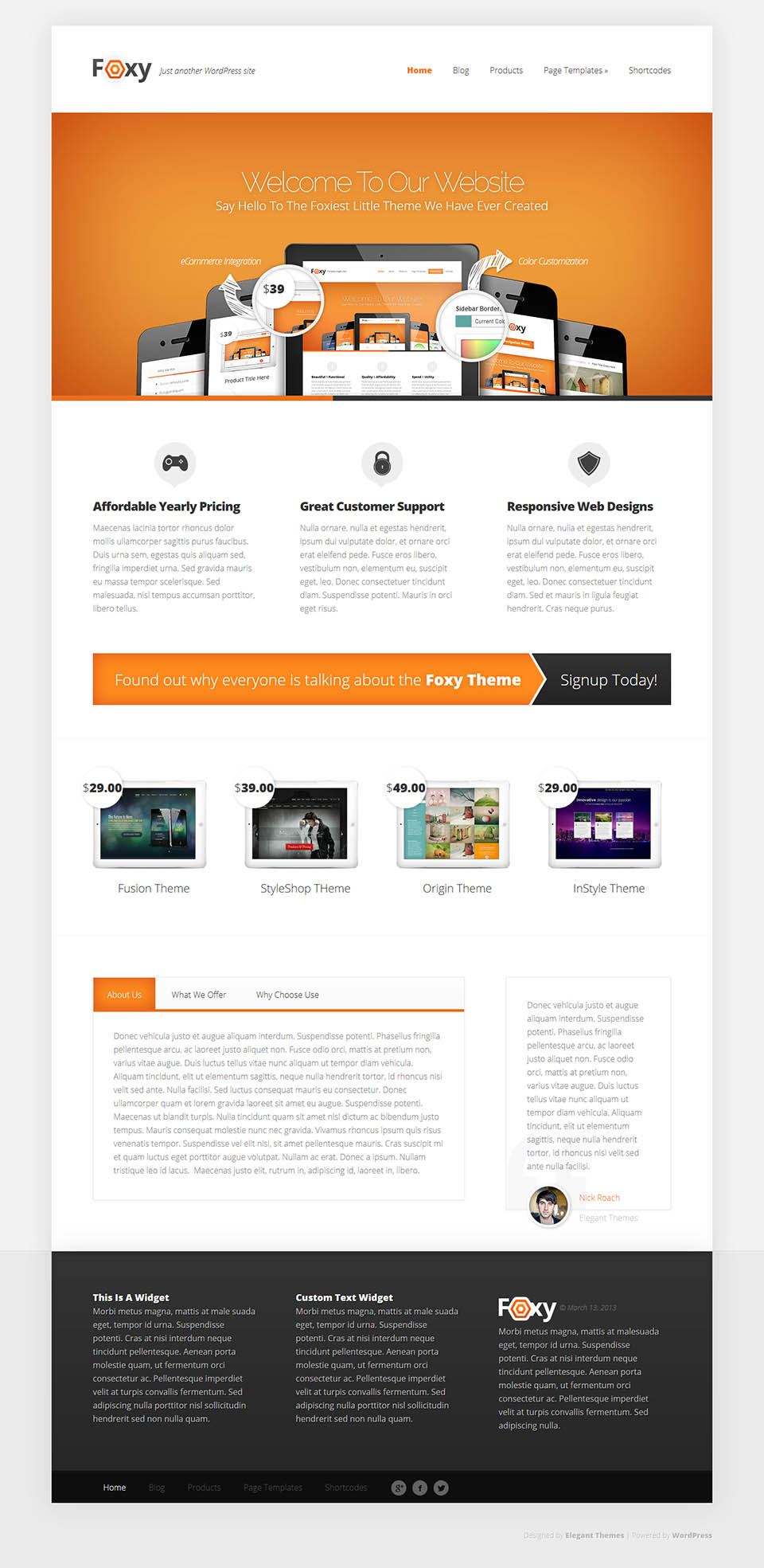 WordPress template ElegantThemes Foxy