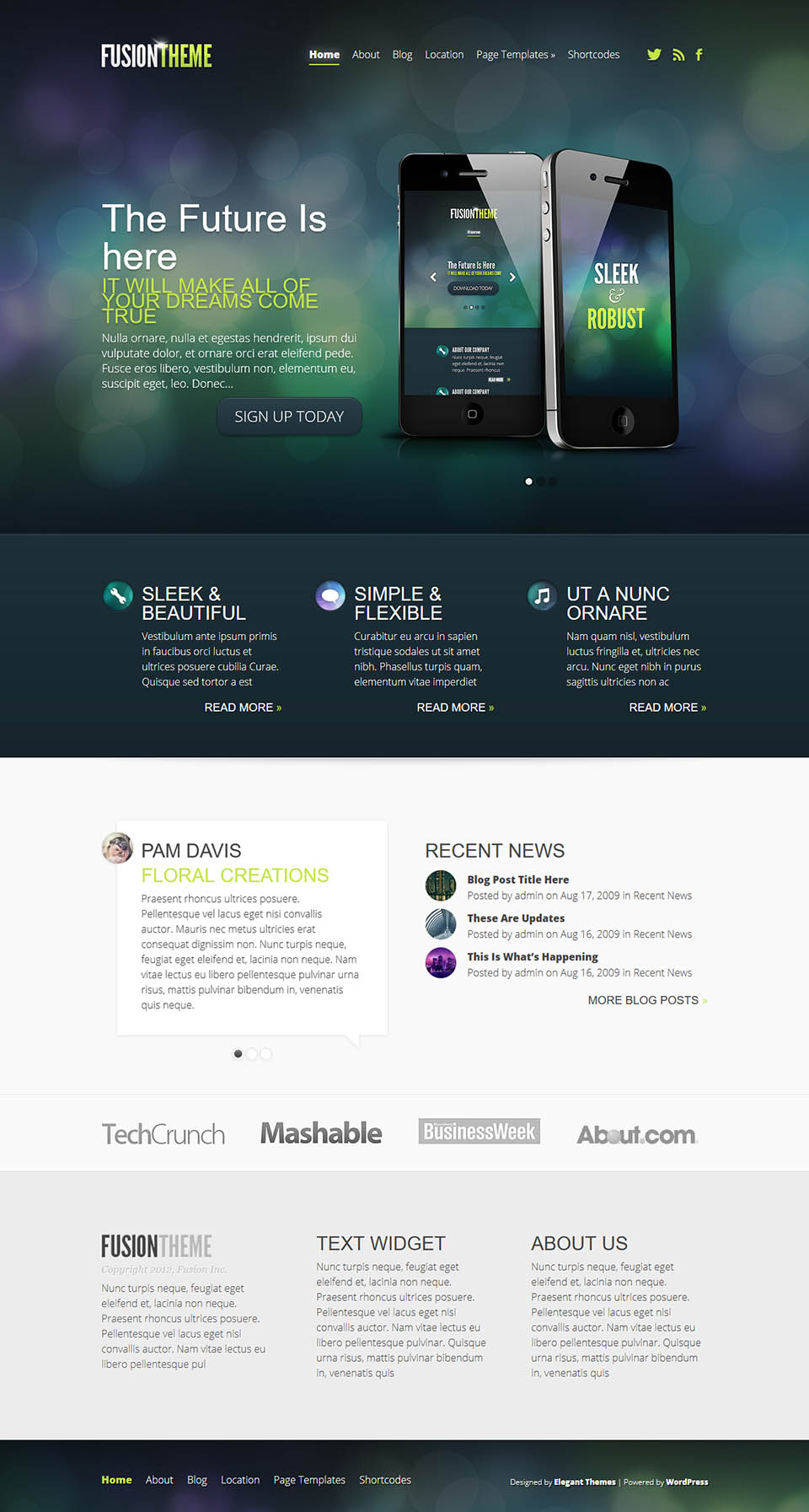 WordPress template ElegantThemes Fusion