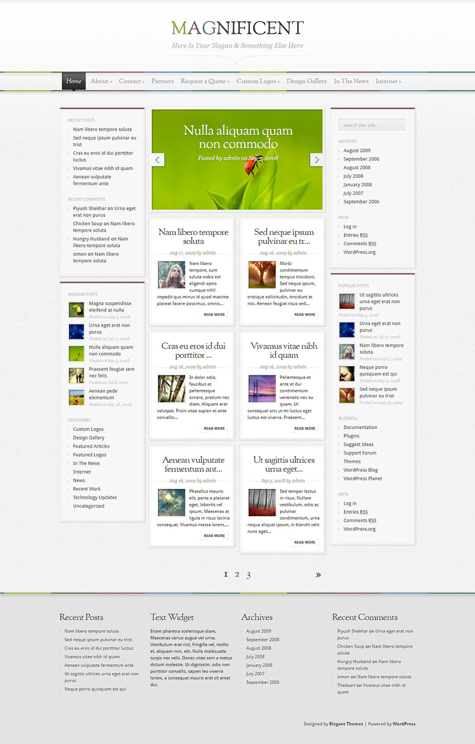 WordPress template ElegantThemes Magnificent