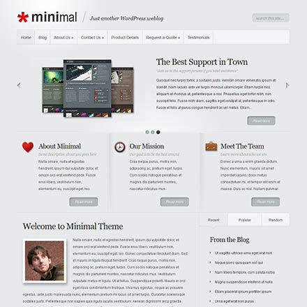 ElegantThemes Minimal