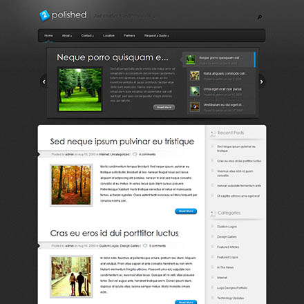 ElegantThemes Polished