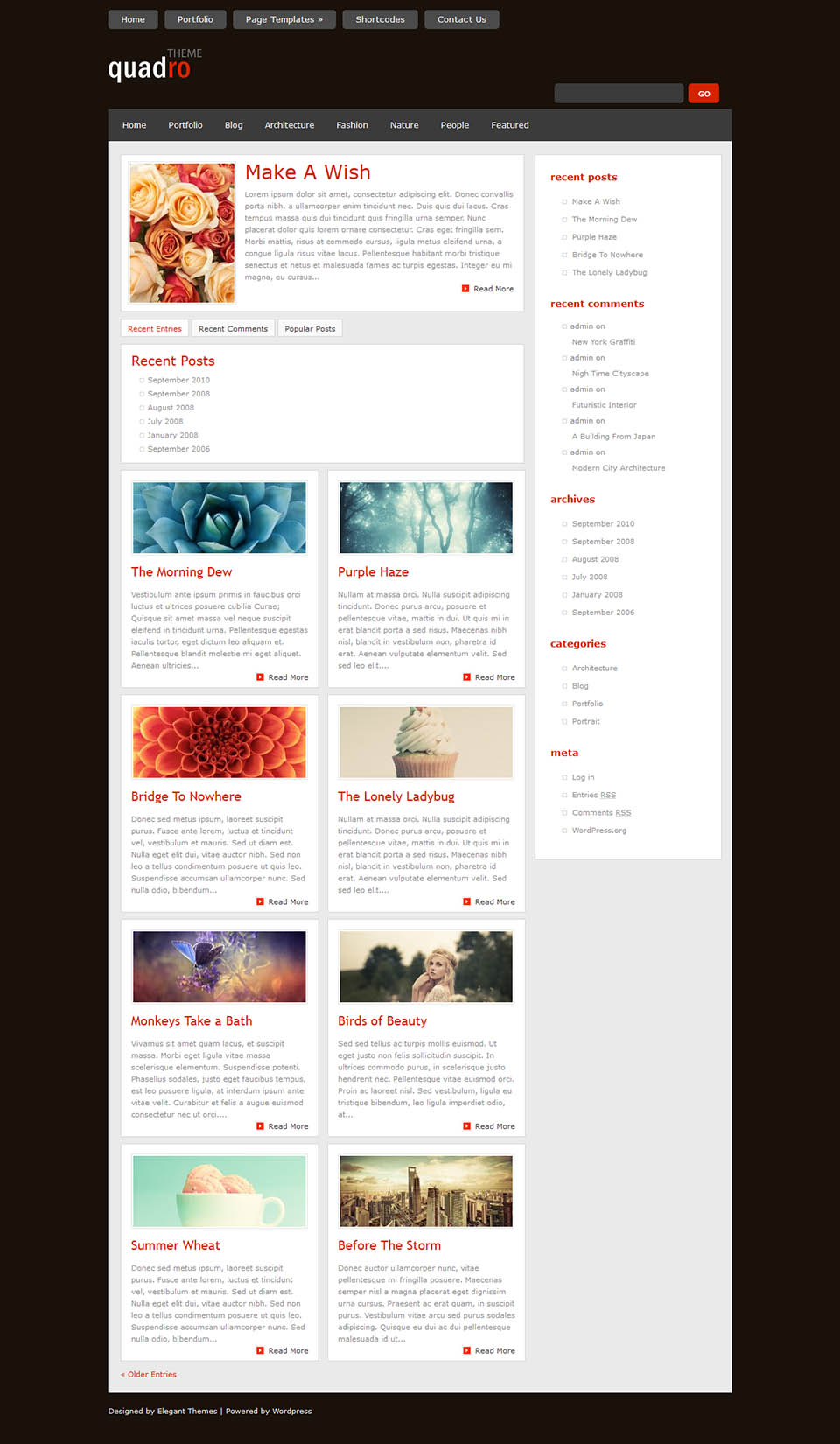 WordPress template ElegantThemes Quadro