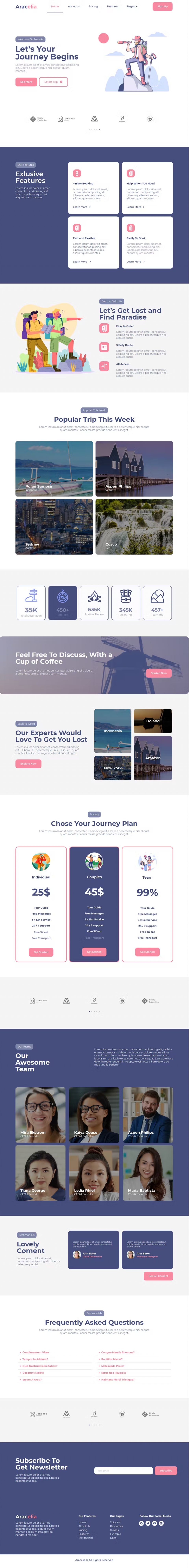 WordPress template ThemeForest Aracelia