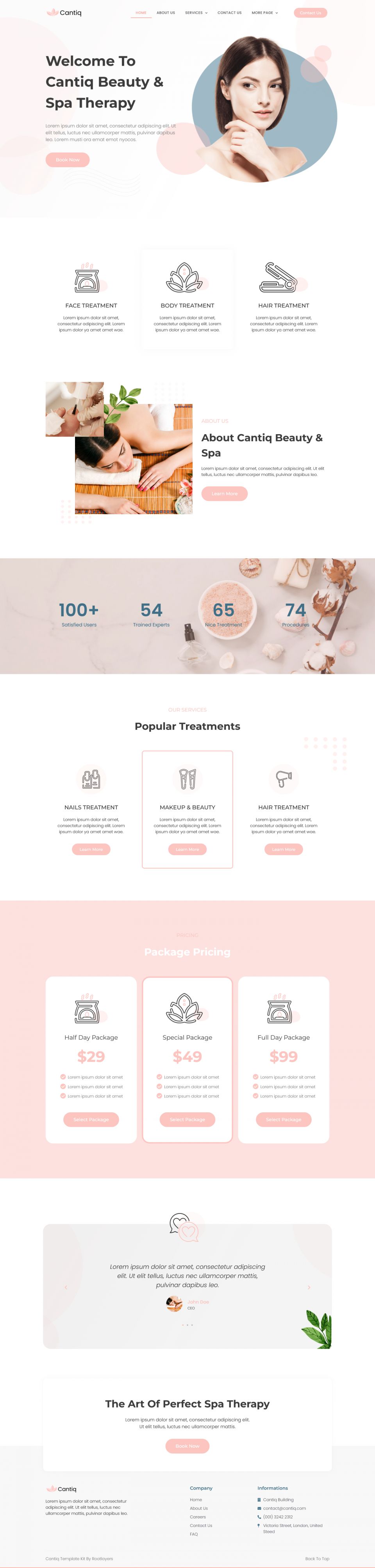 WordPress template ThemeForest Cantiq