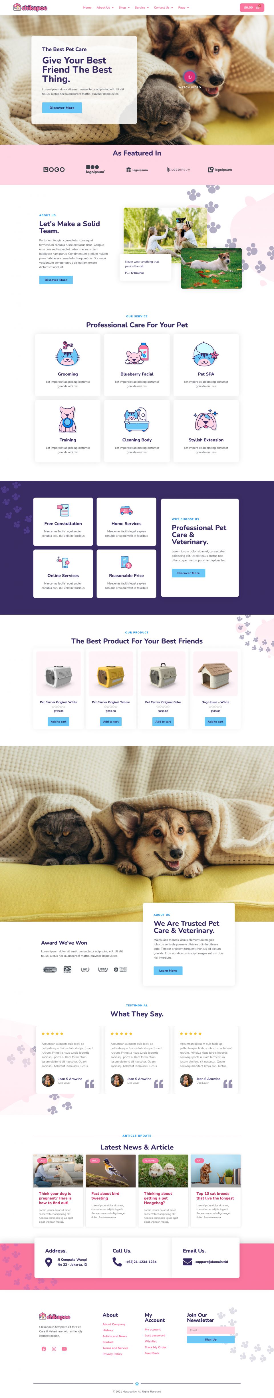 WordPress template ThemeForest Chikapoe
