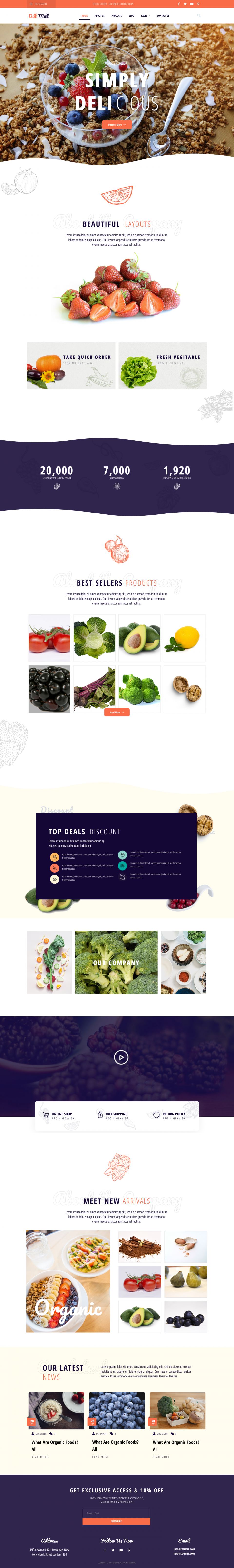 WordPress template ThemeForest Dillmill