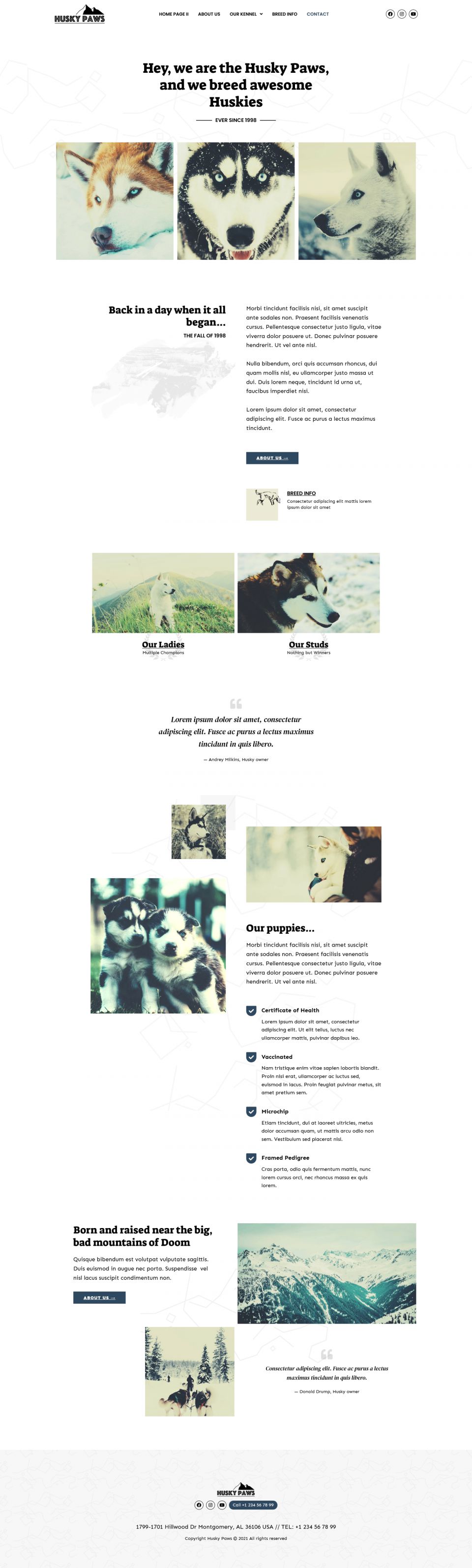 WordPress template ThemeForest HuskyPaws