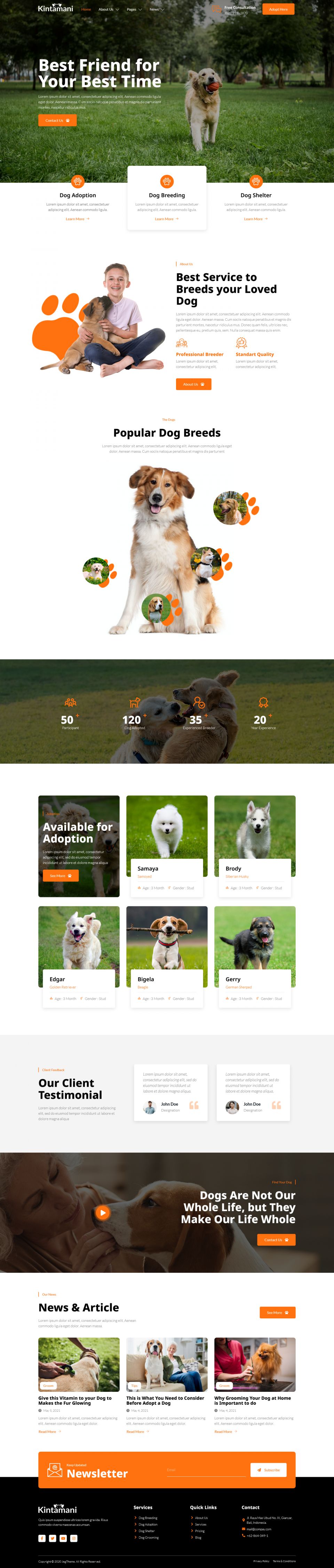 Template ThemeForest Kintamani WordPress template ThemeForest Kintamani