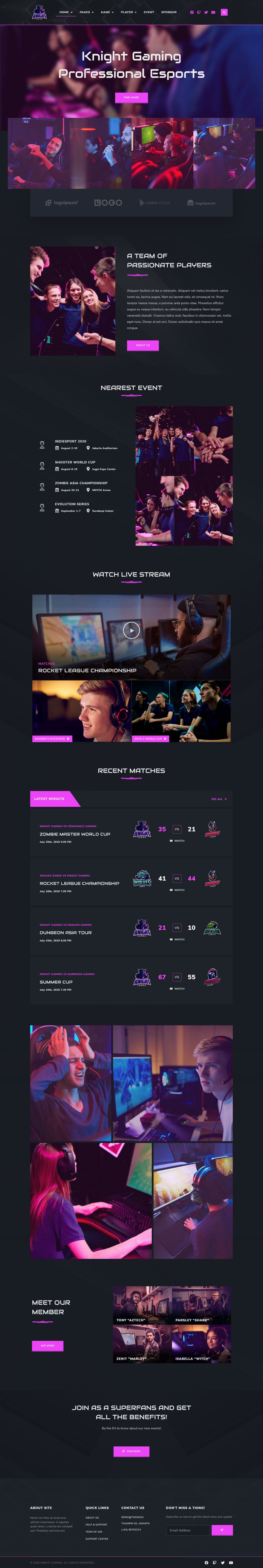 WordPress template ThemeForest Knight