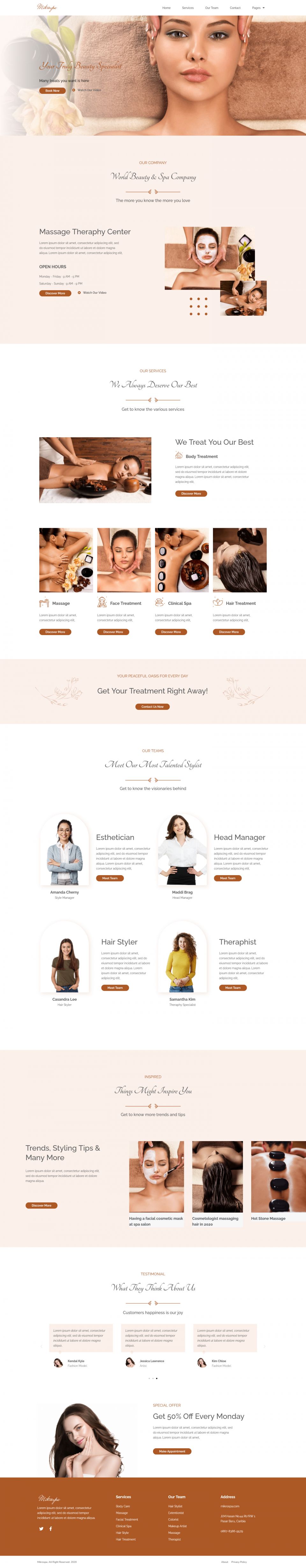 WordPress template ThemeForest Mikrospa