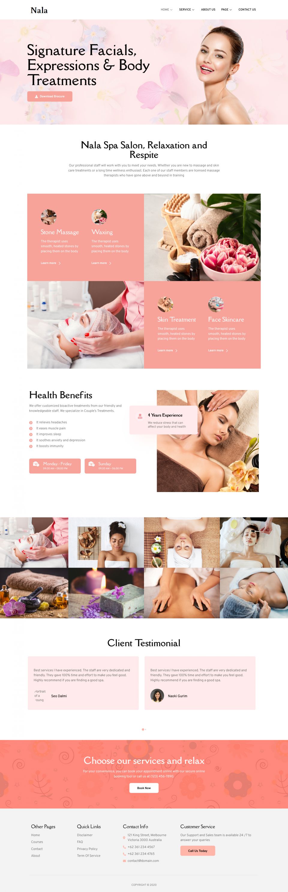 WordPress template ThemeForest Nala