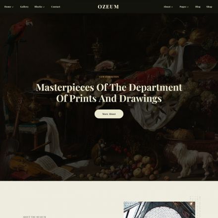 ThemeForest Ozeum