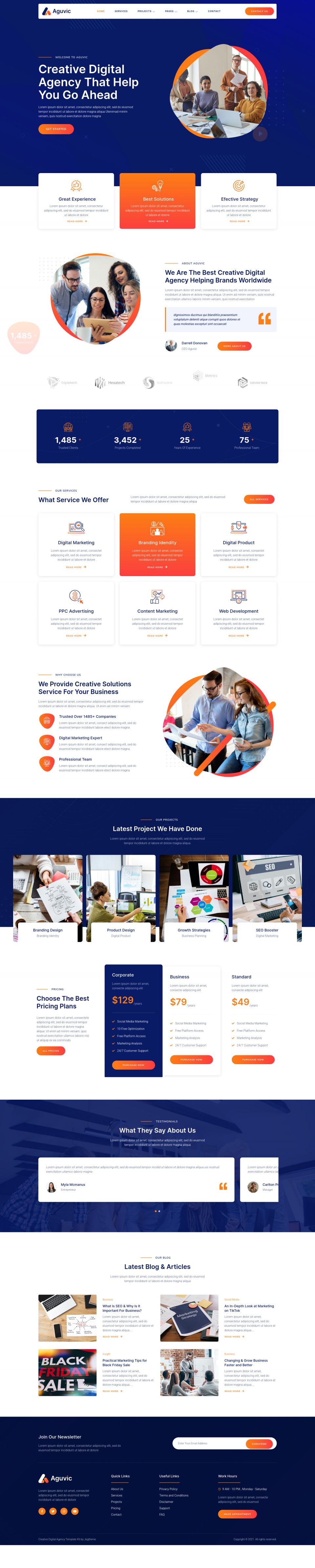 WordPress template ThemeForest Aguvic