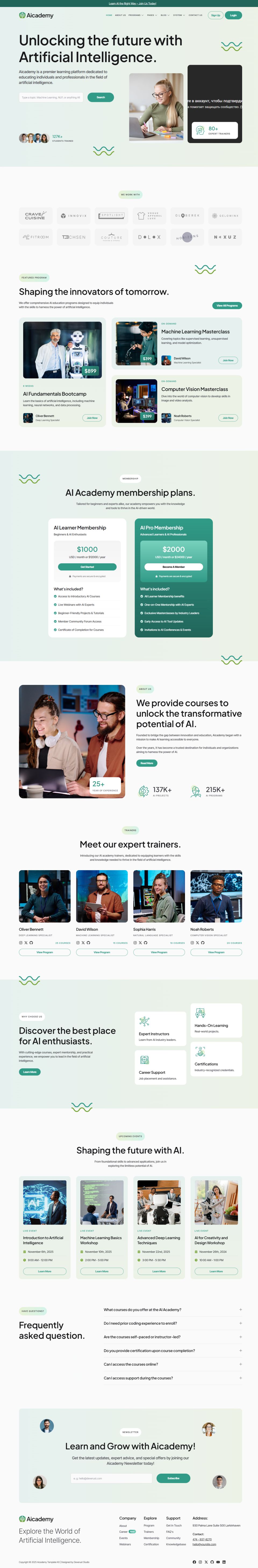 WordPress template ThemeForest Aicademy