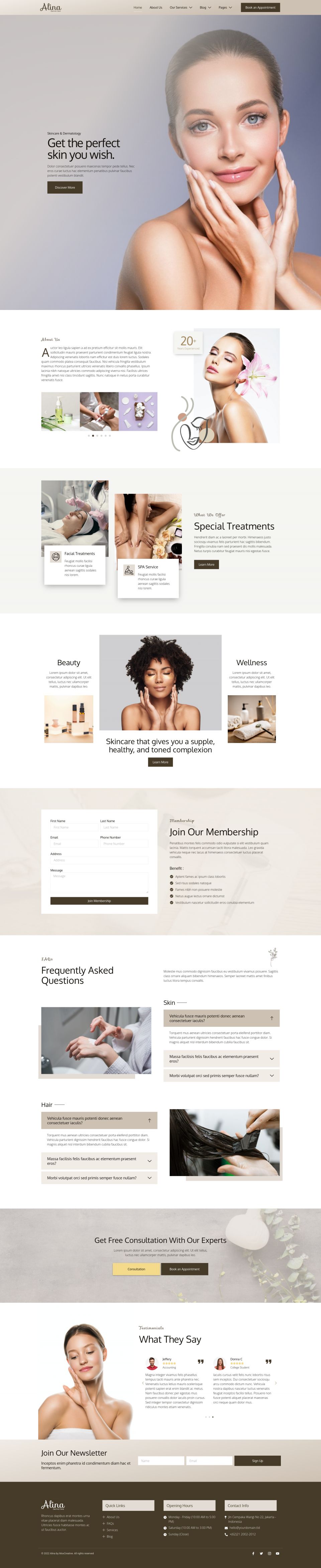 WordPress template ThemeForest Alina