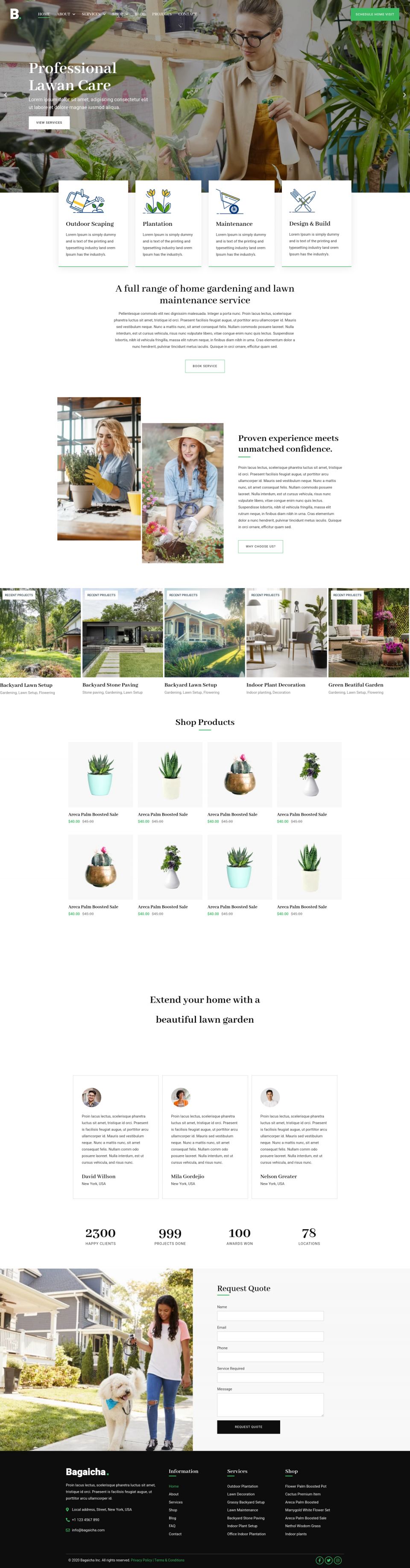 WordPress template ThemeForest Bagaicha