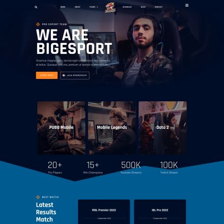 ThemeForest Bigesport