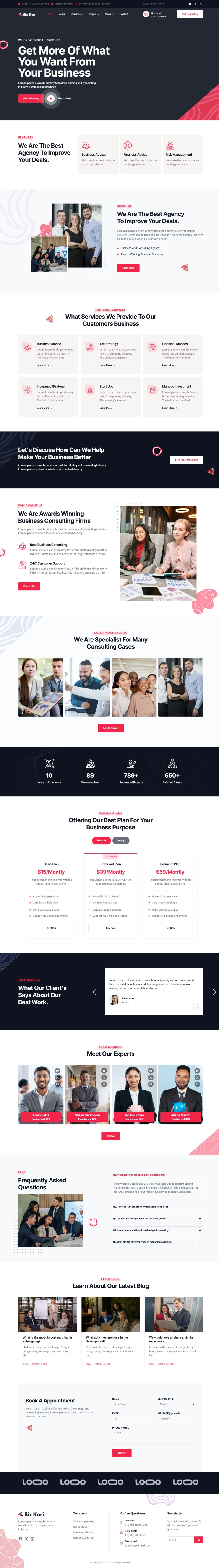 WordPress template ThemeForest Bizkori