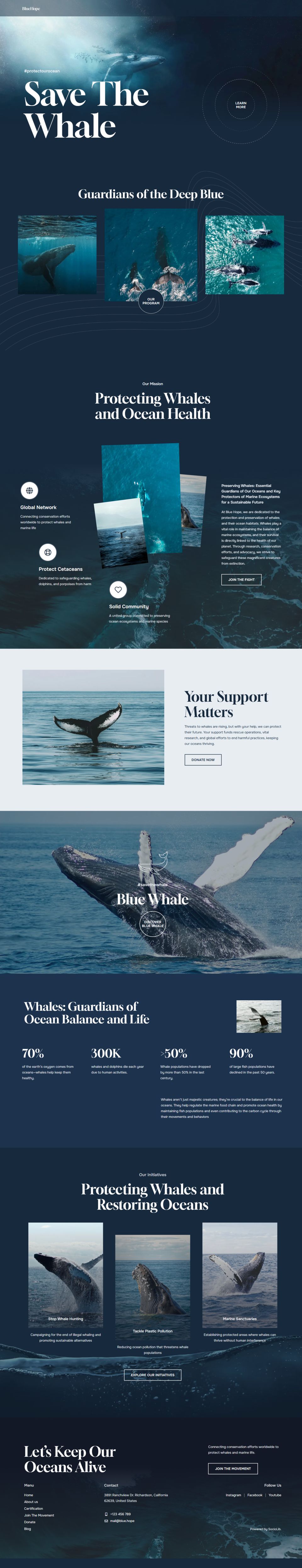WordPress template ThemeForest BlueHope