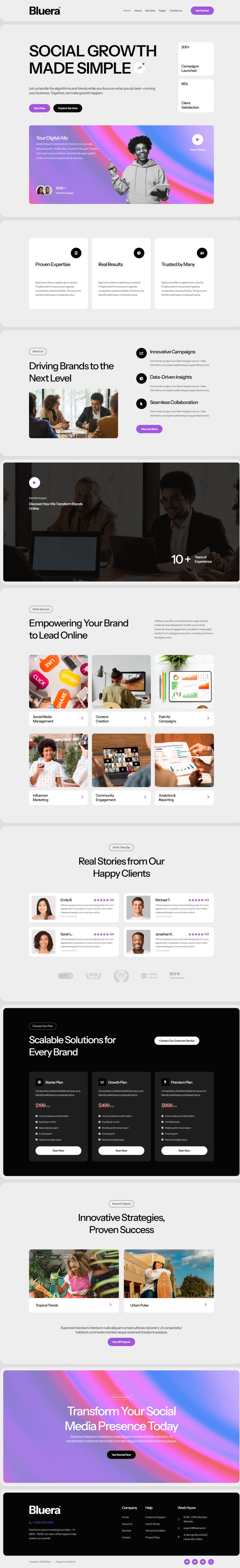 WordPress template ThemeForest Bluera