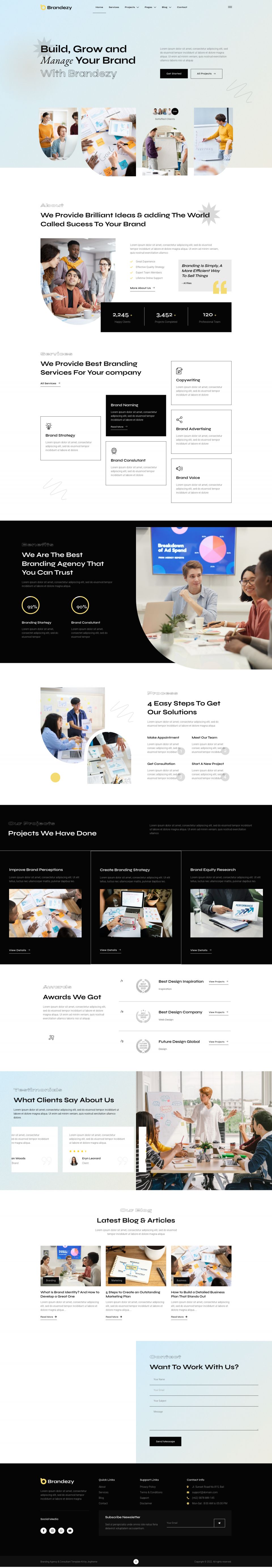 WordPress template ThemeForest Brandezy
