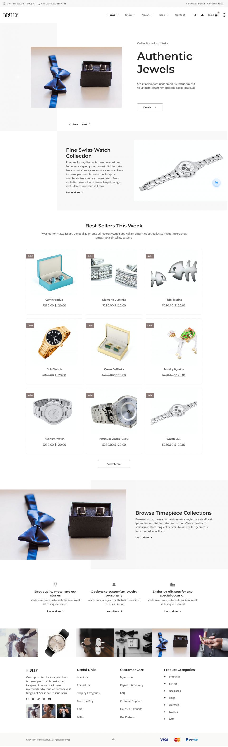 WordPress template ThemeForest Brilly