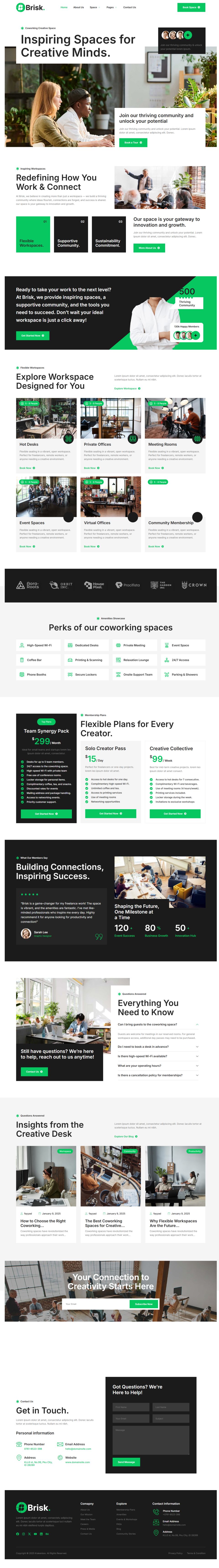 WordPress template ThemeForest Brisk