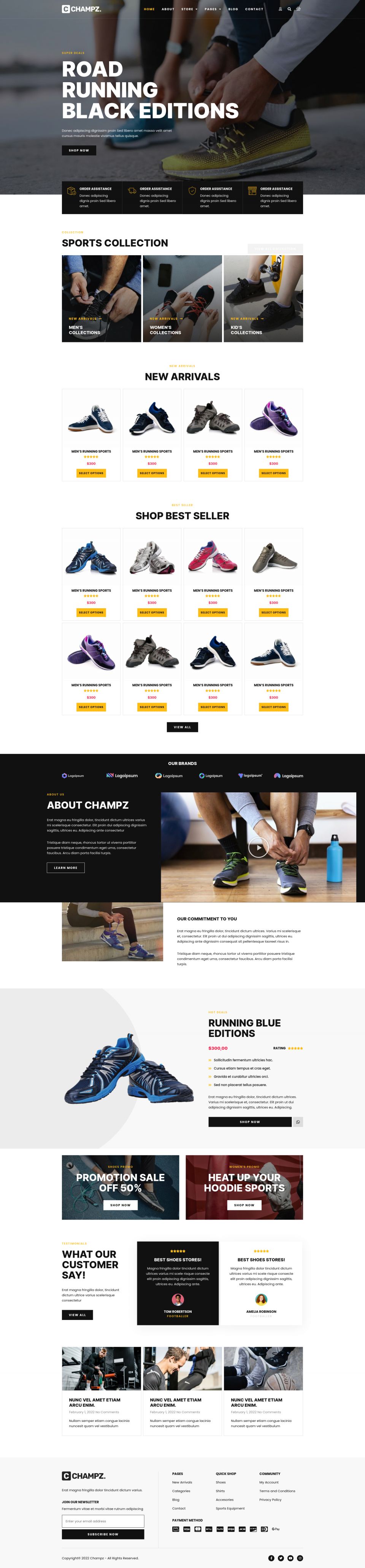 WordPress template ThemeForest Champz