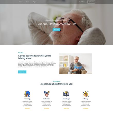 ThemeForest Coisso