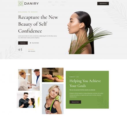 ThemeForest Daniry