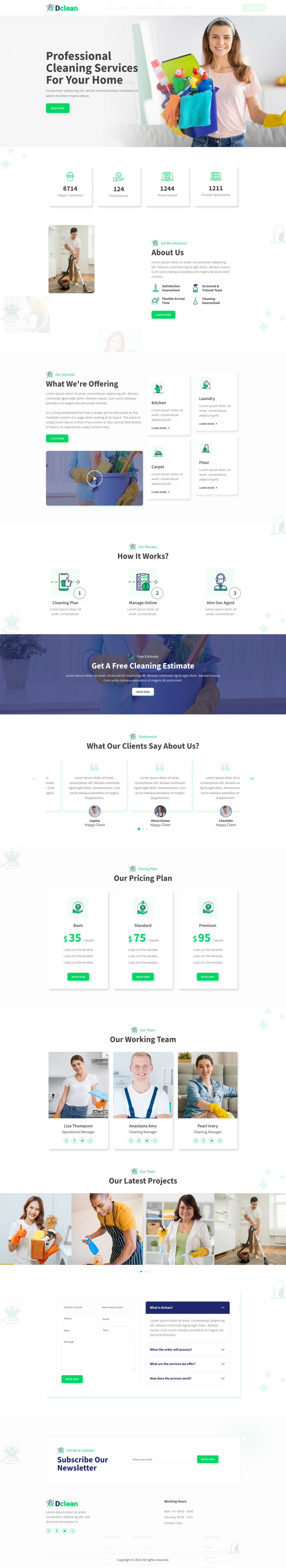 WordPress template ThemeForest Dclean
