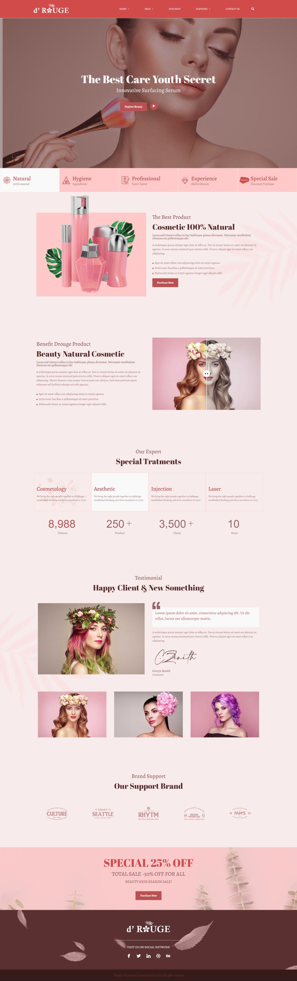 WordPress template ThemeForest Drouge