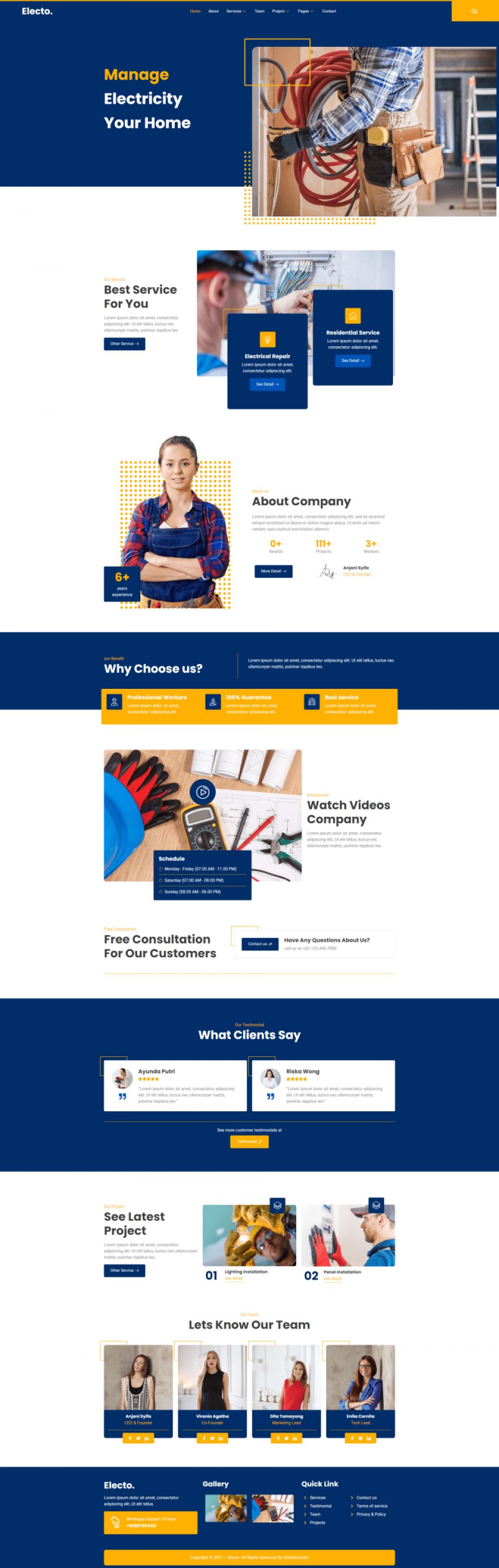 WordPress template ThemeForest Electo