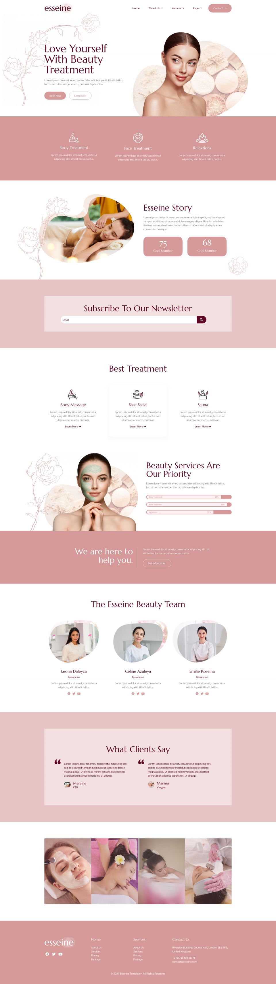 WordPress template ThemeForest Essein