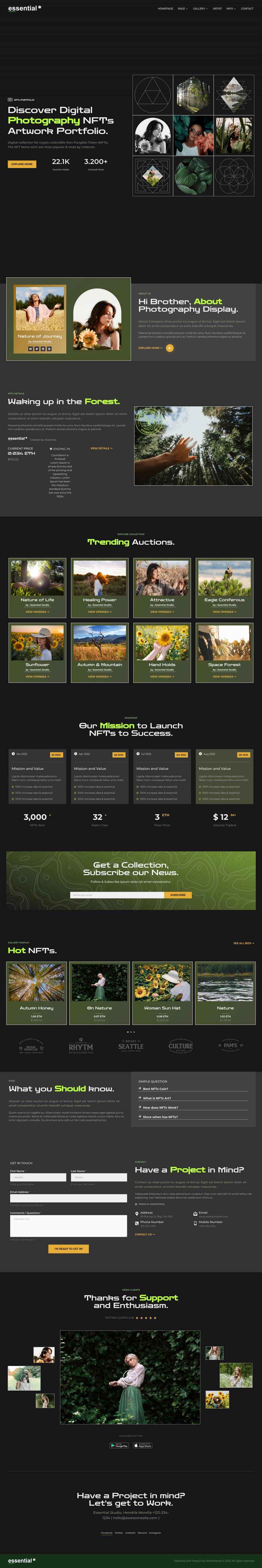 WordPress template ThemeForest Essential