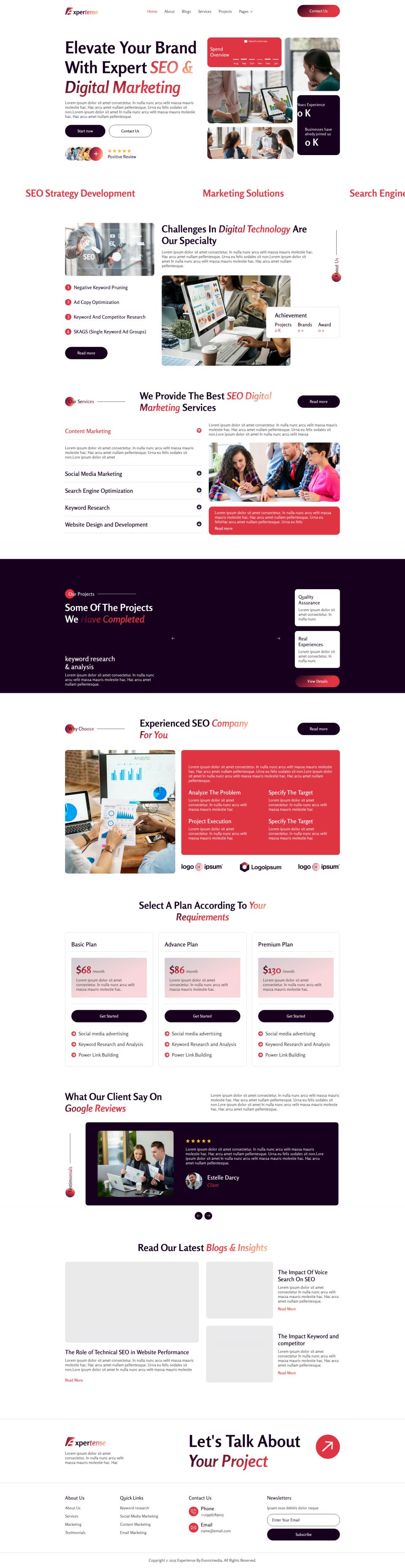 WordPress template ThemeForest Expertense