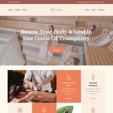 ThemeForest Femika
