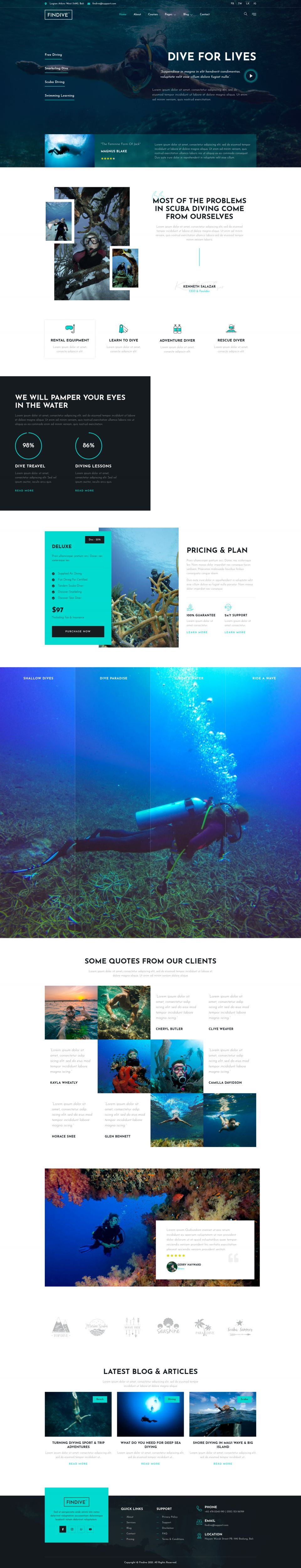 WordPress template ThemeForest Findive
